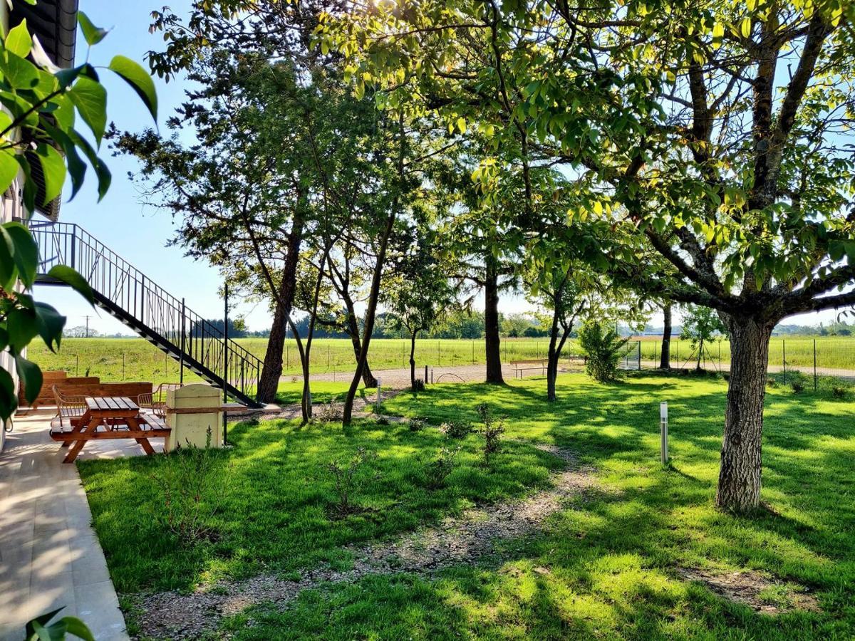 Le Cottage Duo Vigne Rouge Sauna Gaillac Entre Albi-Toulouse & Les Cottages Du Tarn Brens  Εξωτερικό φωτογραφία